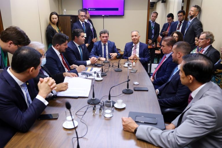 O grupo de trabalho da reforma tributária fará nova reunião nesta quarta-feira (1) - (Foto: Vinicius Loures/Câmara dos Deputados)