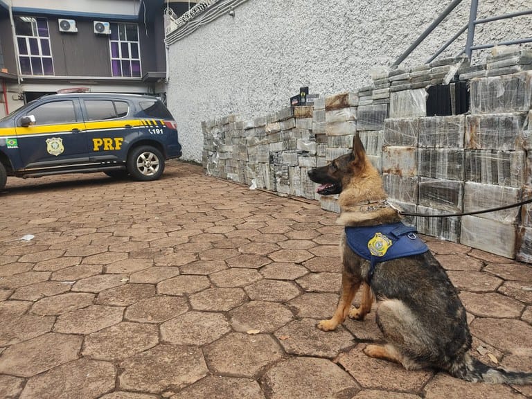 Os agentes do Grupo de Operações com Cães (GOC-MS) que encontraram a droga no caminhão. Crédito: Divulgação