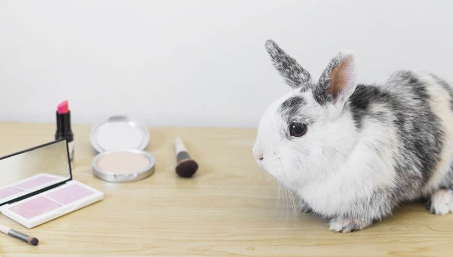 A decisão já está em vigor e foi publicada no Diário Oficial da União, nesta quarta-feira, 1º de março. 