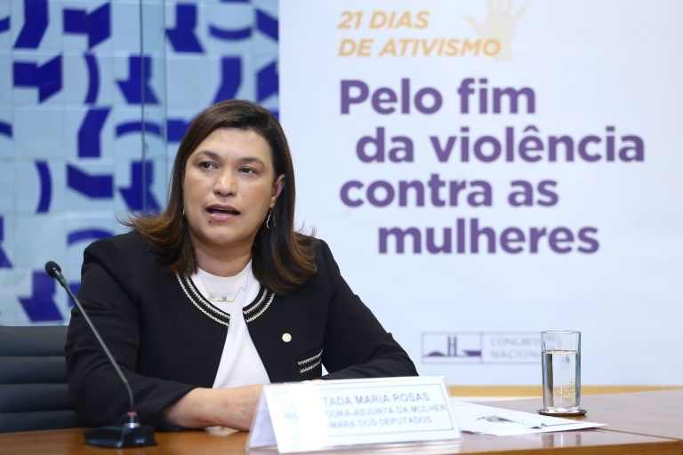 Maria Rosas: é preciso capacitar os profissionais para sinais de agressões não declarados - (Foto: Vinicius Loures/Câmara dos Deputados)