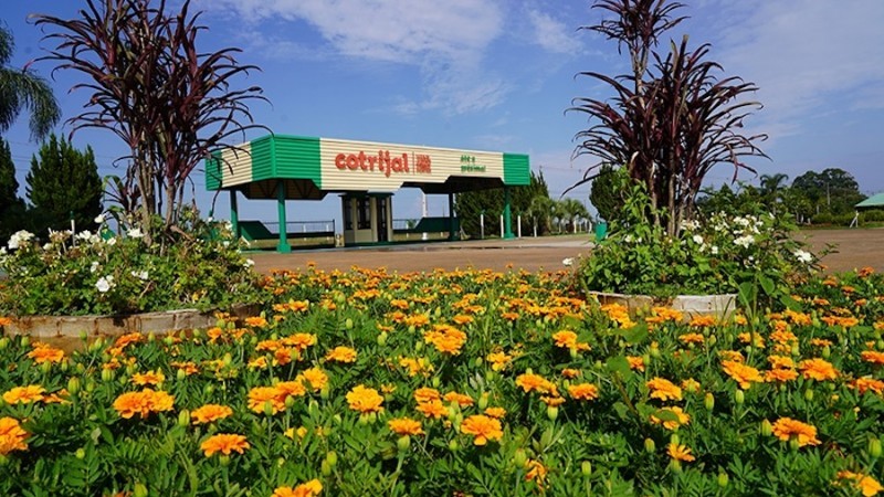 O evento inicia-se na segunda (6) e termina na sexta (10), no município de Não-Me-Toque -Foto: Divulgação Cotrijal