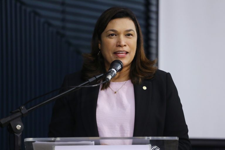 Maria Rosas destacou que 83 projetos já se tornaram leis - (Foto: Vinicius Loures/Câmara dos Deputados)
