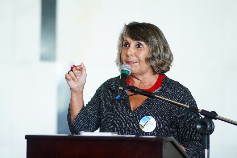 Para Erika Kokay, é necessário atualizar as políticas públicas de saúde - (Foto: Pablo Valadares/Câmara dos Deputados)