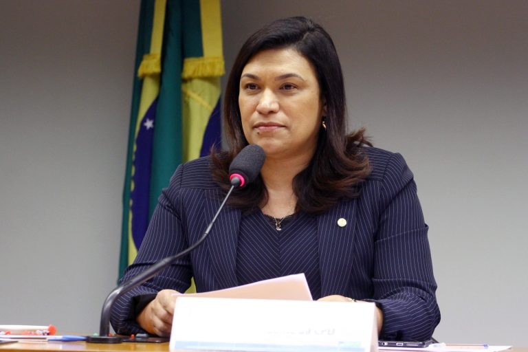 A autora da proposta, deputada Maria Rosas - (Foto: Vinicius Loures/Câmara dos Deputados)