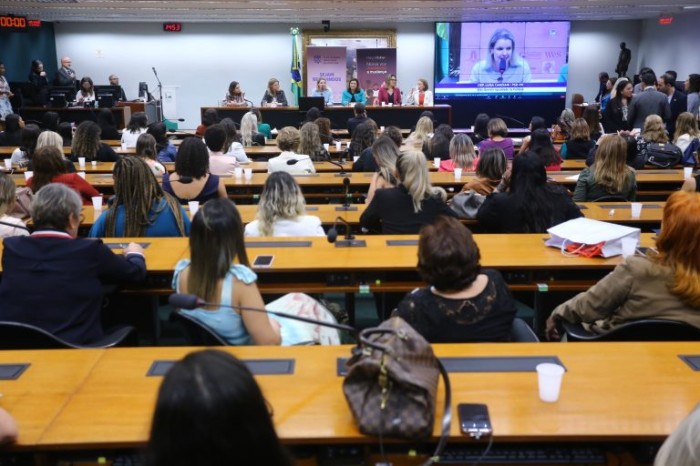 Seminário foi realizado em conjunto com o Grupo Mulheres do Brasil - (Foto: Vinicius Loures/Câmara dos Deputados)