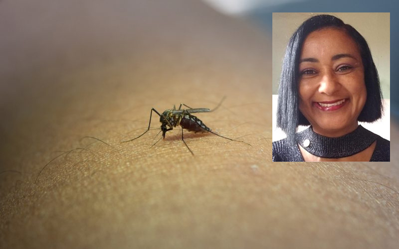 Moradora de Bento Gonçalves é a primeira vítima da dengue no RS em 2023