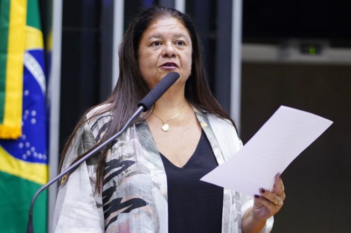 Laura Carneiro: efetivação de direitos sociais contribui para uma sociedade livre e solidária - (Foto: Pablo Valadares / Câmara dos Deputados)