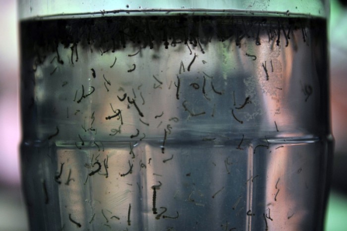 © Arquivo/Agência Brasil