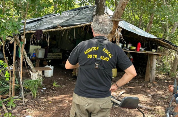Fiscalização flagra exploração de trabalho escravo na extração de eucalipto em Nova Xavantina (MT) - Min. Trabalho e Emprego