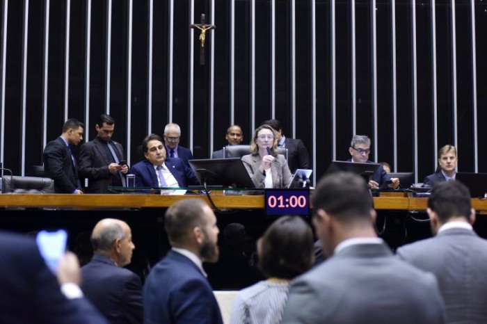 Deputada Maria do Rosário preside uma sessão do Plenário - (Foto: Zeca Ribeiro/Câmara dos Deputados)