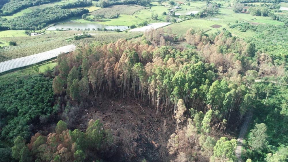 Área de mais de seis hectares é queimada em Farroupilha