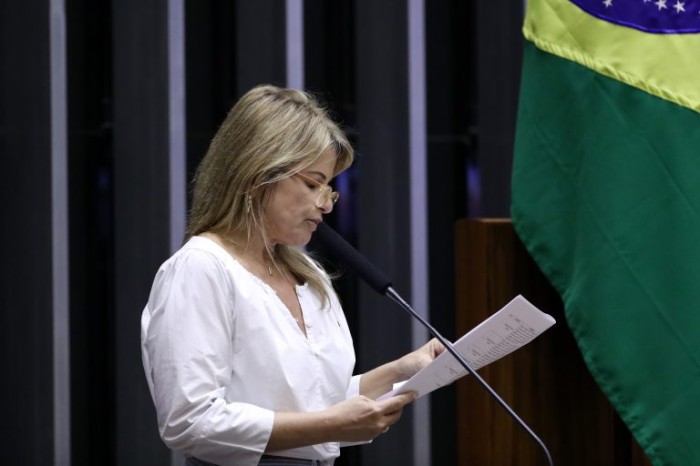 Deputada Flávia Morais, relatora da medida - (Foto: Bruno Spada/Câmara dos Deputados)