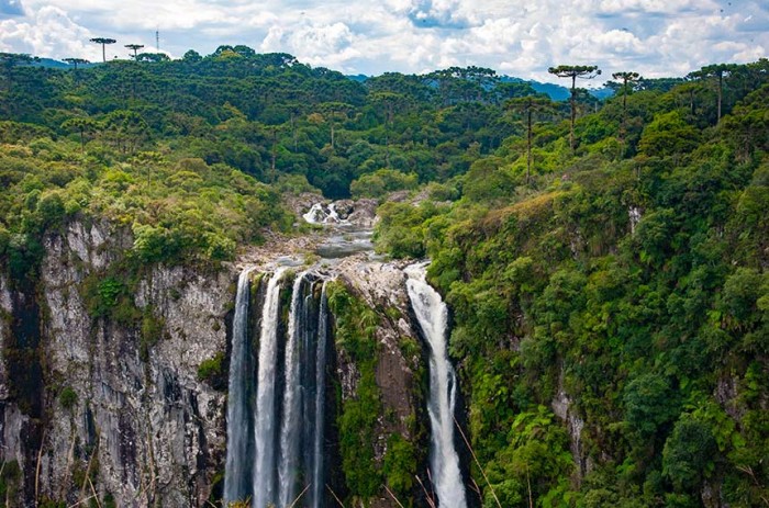 Unidade de conservação fica localizada no Rio Grande do Sul - Leopoldo Silva/Agência Senado
