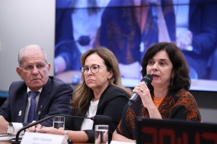 Ministra explicou que gênero e raça são pilares do atual governo federal - (Foto: Bruno Spada/Câmara dos Deputados)