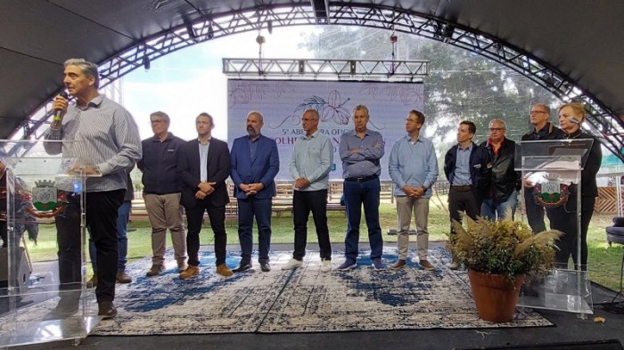 Rio Grande do Sul possui a maior área plantada de cultura de noz-pecã, com cerca de 7 mil hectares -Foto: Divulgação/Seapi