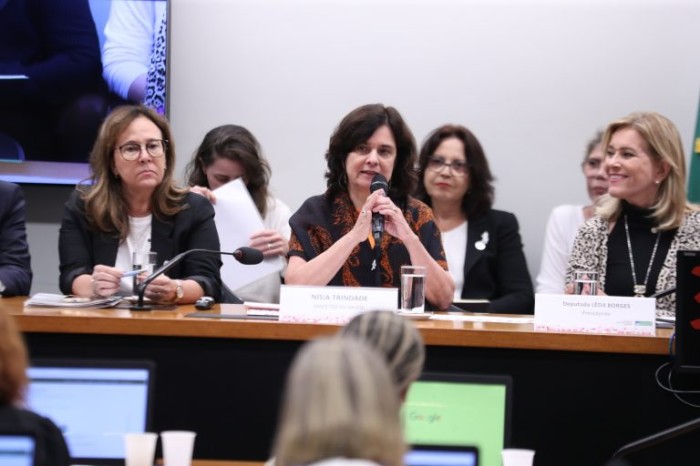 Nísia Trindade em audiência pública na Comissão de Defesa dos Direitos da Mulher - (Foto: Bruno Spada/Câmara dos Deputados)