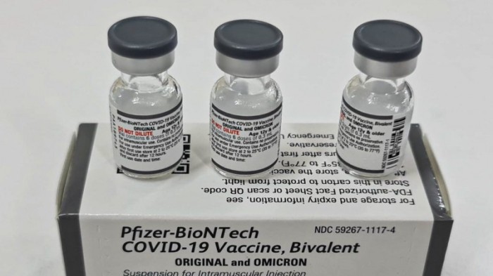 Vacina bivalente foi elaborada com base na variante original do coronavírus e na Ômicron -Foto: Itamar Aguiar/Ascom SES