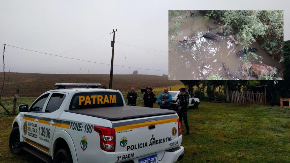 Homem que matou seis cães é preso na cidade de Barracão