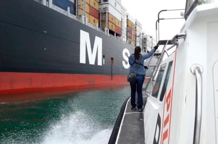 Prático manobra navios em áreas de portos: projeto que regulamenta atividade está na pauta da CI