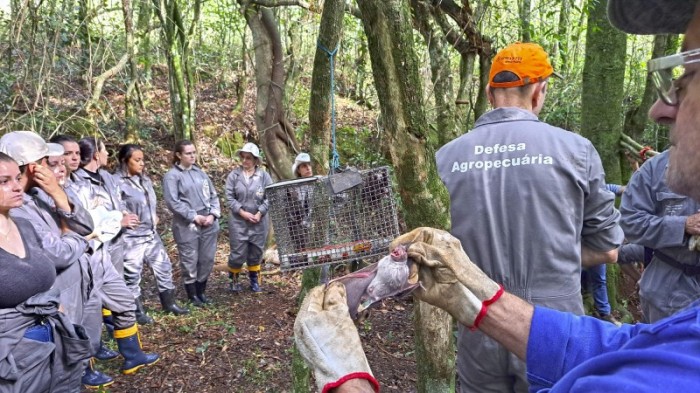 O curso prático permite que os novos servidores conheçam e possam identificar as situações que vão encontrar em campo -Foto: Fernando Dias/Ascom Seapi