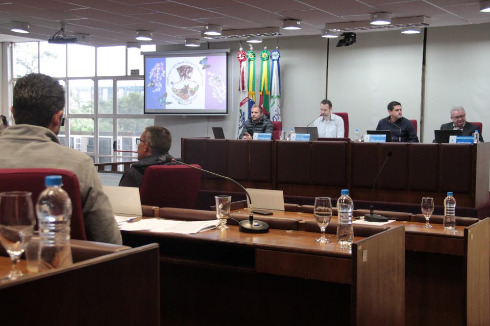 Crédito: Divulgação/Câmara de Vereadores 