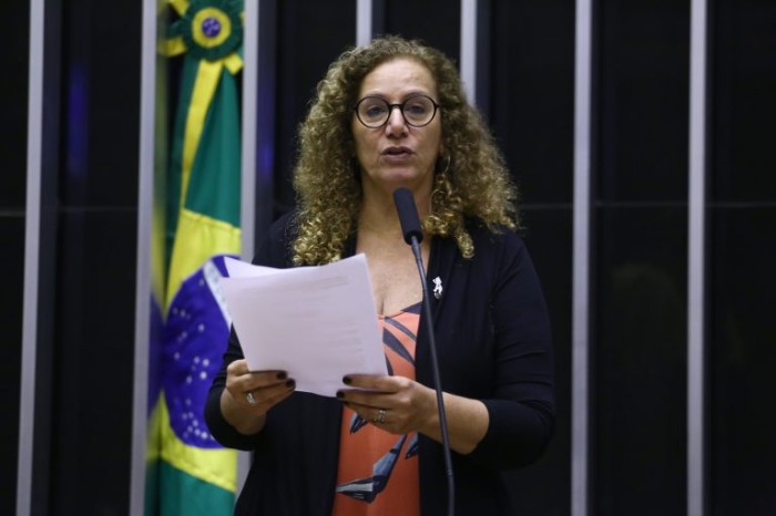 Jandira Feghali, relatora da proposta - (Foto: Vinicius Loures/Câmara dos Deputados)