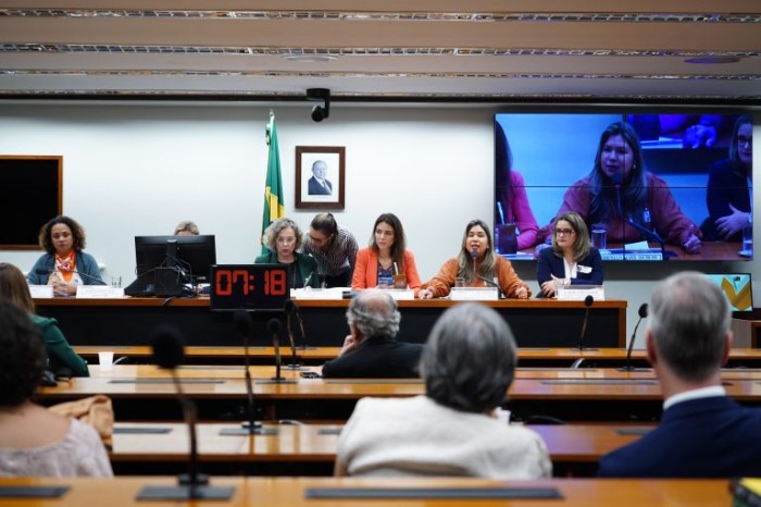 Comissão analisa as razões do aumento das denúncias de violência obstétrica no Brasil - (Foto: Pablo Valadares/Câmara dos Deputados)