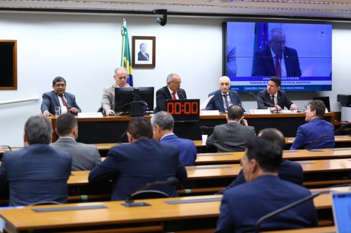 Audiência conjunta das comissões de Finanças e Tributação; e de Minas e Energia - (Foto: Vinicius Loures/Câmara dos Deputados)