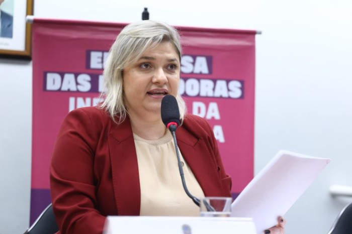 A deputada Luciene quer debater o pagamento retroativo dos adicionais - (Foto: Vinicius Loures/Câmara dos Deputados)