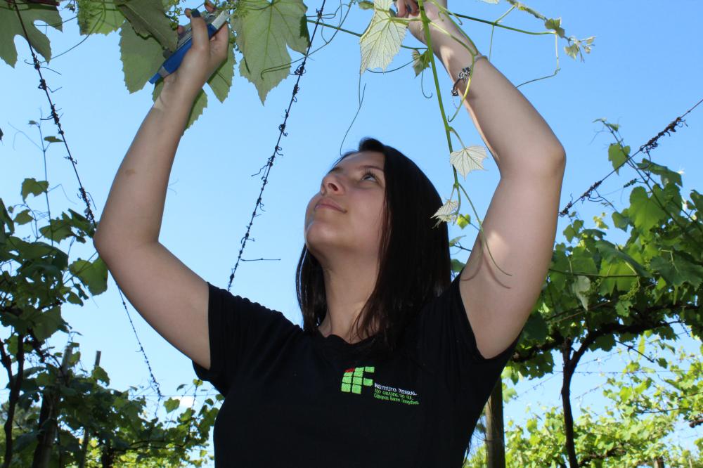 São apenas 30 vagas e o prazo de inscrições é até o dia 15 de maio de 2023. Crédito: Divulgação 