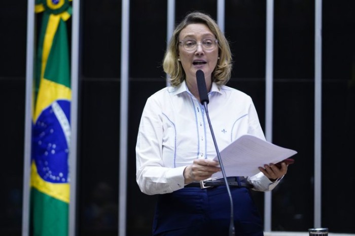 Maria do Rosário: a medida está associada a um projeto de desenvolvimento do Brasil - (Foto: Pablo Valadares/Câmara dos Deputados)