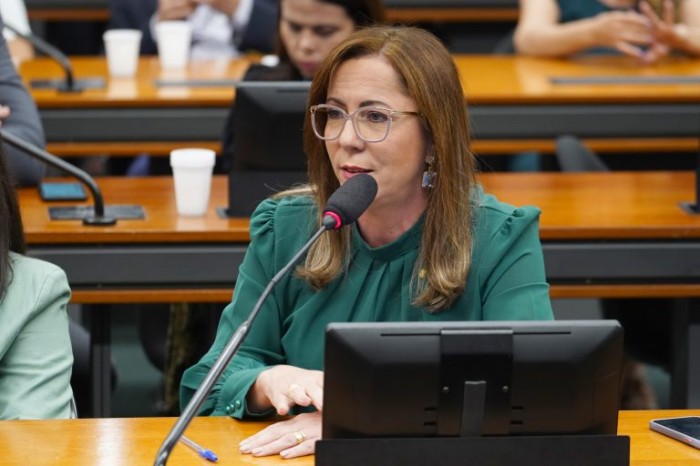 Delegada Katarina deu parecer favorável - (Foto: Pablo Valadares / Câmara dos Deputados)