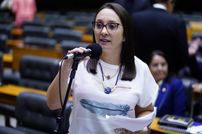 Renata Abreu: “A gente sabe o absurdo que se acometeu no dia de ontem - (Foto: Pablo Valadares/Câmara dos Deputados)