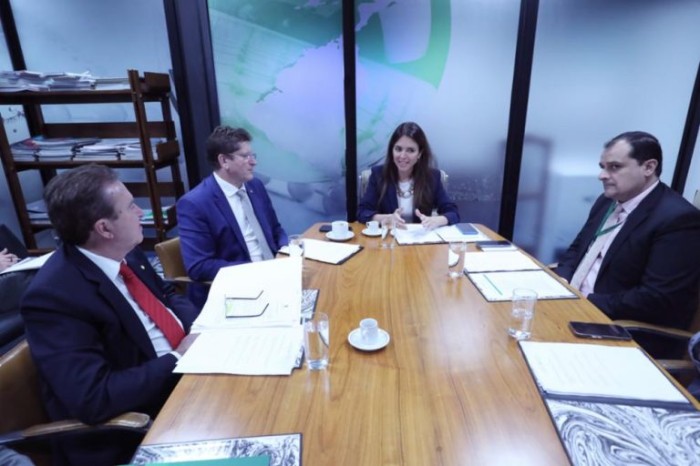 Conselho de Comunicação voltou a se reunir, sob a presidência da deputada Any Ortiz - (Foto: Bruno Spada/Câmara dos Deputados)