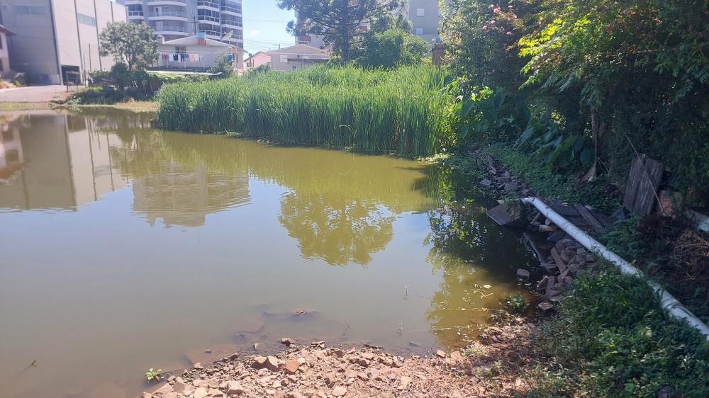 Crédito: Divulgação