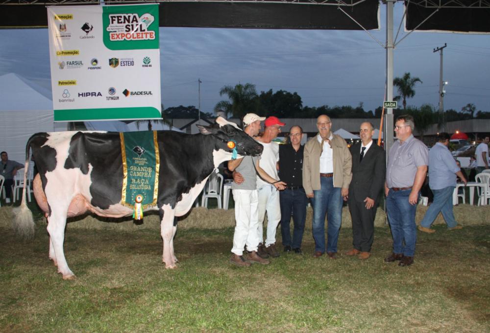 Vaca Santa Clara foi considerada a Vaca Suprema, superando todas as raças - Foto: JM Alvarenga/Divulgação