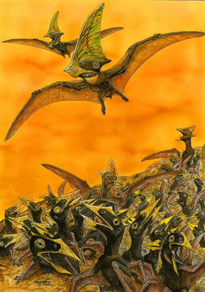 © Maurilio Oliveira