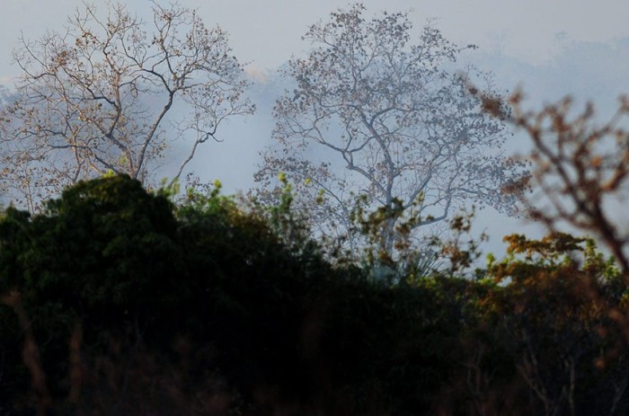 A nova lei permite a exploração de atividades não madeireiras e a comercialização de créditos de carbonohttps://www.agenciabrasilia.df.gov.br/2017/08/30/com-umidade-do-ar-a-11-defesa-civil-declara-estado-de-emergencia-no-df/