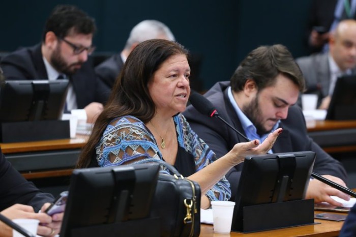 Laura Carneiro, relatora na Comissão de Defesa da Mulher - (Foto: Vinicius Loures/Câmara dos Deputados)