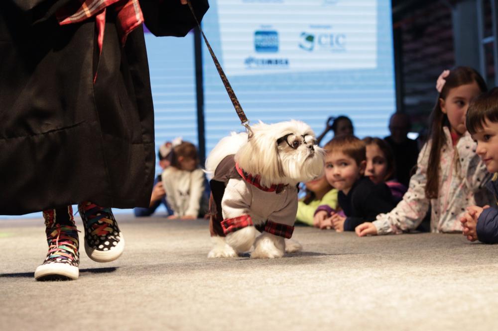 Desfile Pet da 31ª ExpoBento ocorre no dia 14 de junho. Crédito: Mateus de Souza