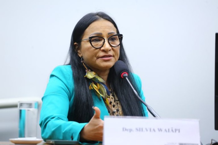 A deputada Silvia Waiãpi recomendou a aprovação de substitutivo - (Foto: Vinicius Loures/Câmara dos Deputados)