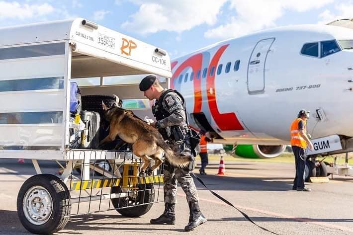 Crédito: Divulgação