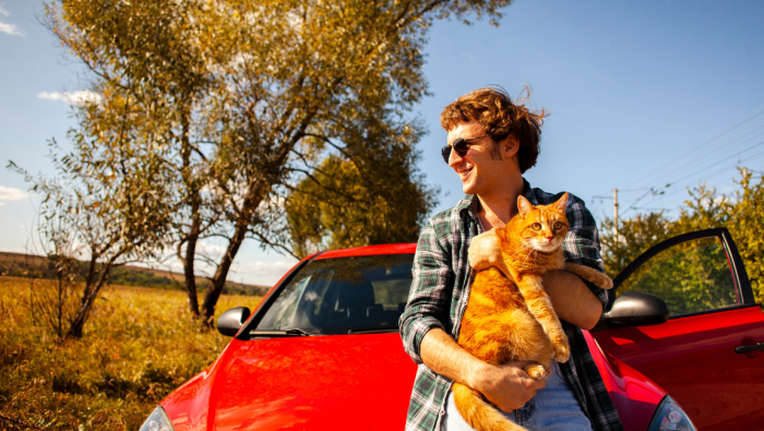 Viaje com seu animal de estimação para destinos petfriendly. Crédito: Freepik