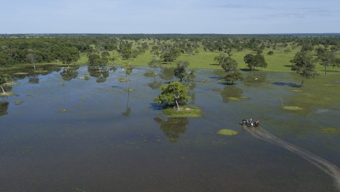 Pantanal em Poconé (MT). Crédito: Flávio André/MTur Destinos