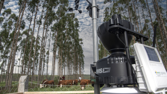 Primeira estação foi instalada na propriedade Agropecuária Banhado, em Barra do Ribeiro -Foto: Fernando Dias/Ascom Seapi