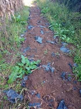 Agricultor é furtado e tem prejuízo de mais de R$ 4 mil