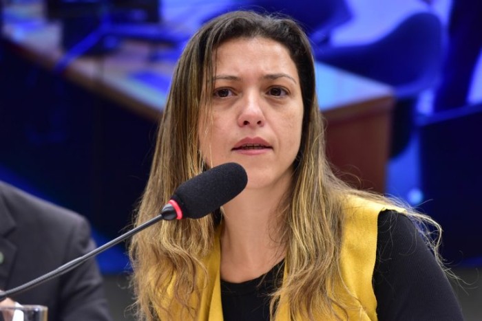 Carina Pimenta: governo fará uma consulta às populações interessadas - (Foto: Zeca Ribeiro / Câmara dos Deputados)