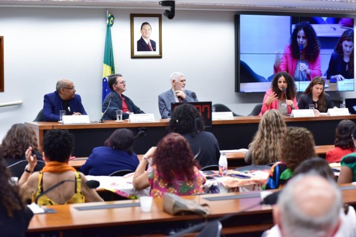 Comissão de Direitos Humanos, Minorias e Igualdade Racial promoveu seminário sobre o tema - (Foto: Zeca Ribeiro / Câmara dos Deputados)