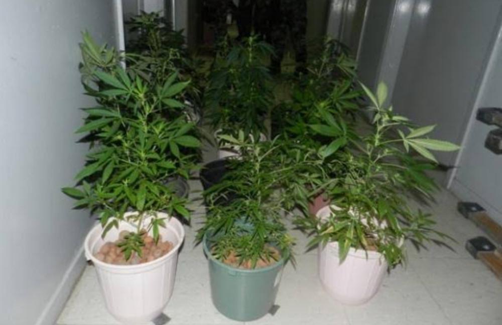 A autorização foi concedida após a Justiça do Paraná rejeitar salvo conduto para evitar eventual prisão em flagrante.