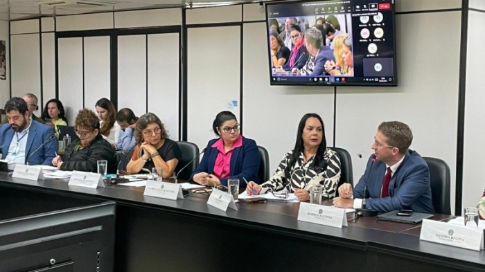 Fantinel participou da reunião do Sistema Único da Assistência Social -Foto: Ricardo Bassi/ SAS